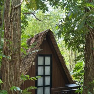 New Glamping (with AC)